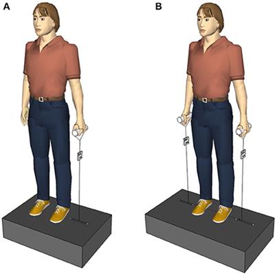 Monosynaptic Stretch Reflex Fails to Explain the Initial Postural Response to Sudden Lateral Perturbations